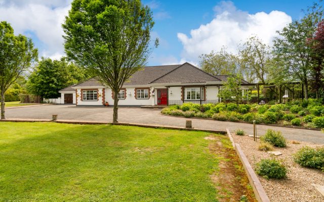 Coole, Calm and Connected in Naas