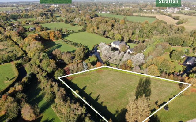 Don’t Lose the Plot in Straffan