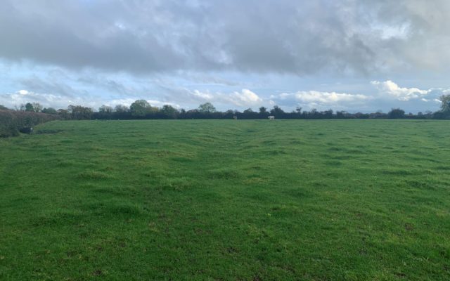 23 acres Leonardstown Kilcock Co. Meath