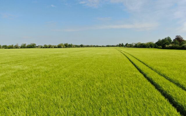 SCSI/Teagasc Agricultural Land Market Review and Outlook Report 2022