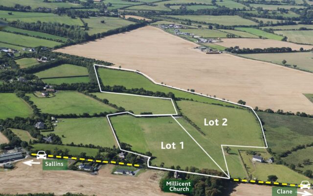 Millicent, Sallins, Co. Kildare – approx. 42.73 acres