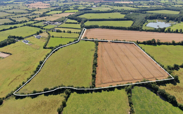 Field Your Future in Phepotstown, Kilcock