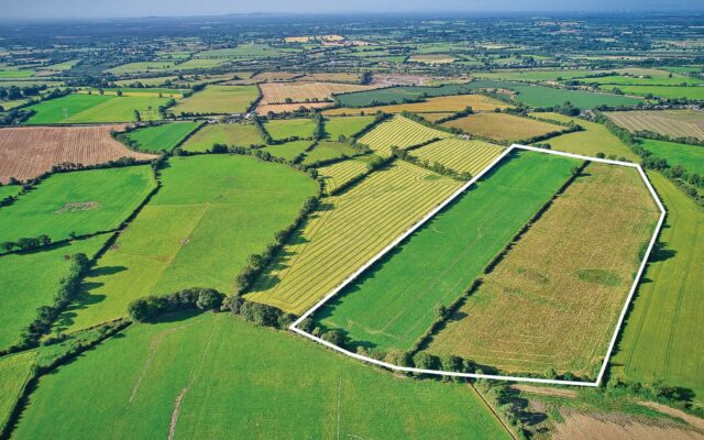 Field Your Future in Kilmurray, Enfield