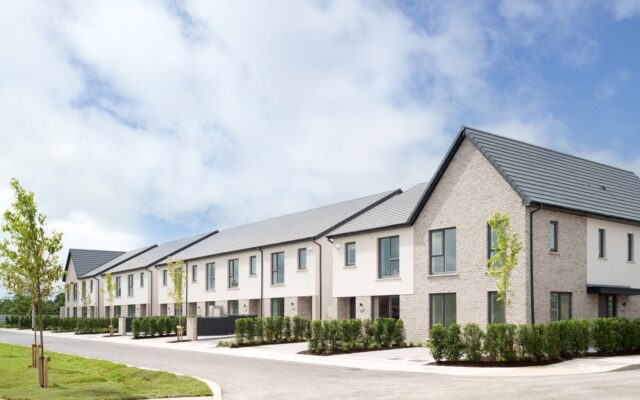 Introducing Stradowe Meadows