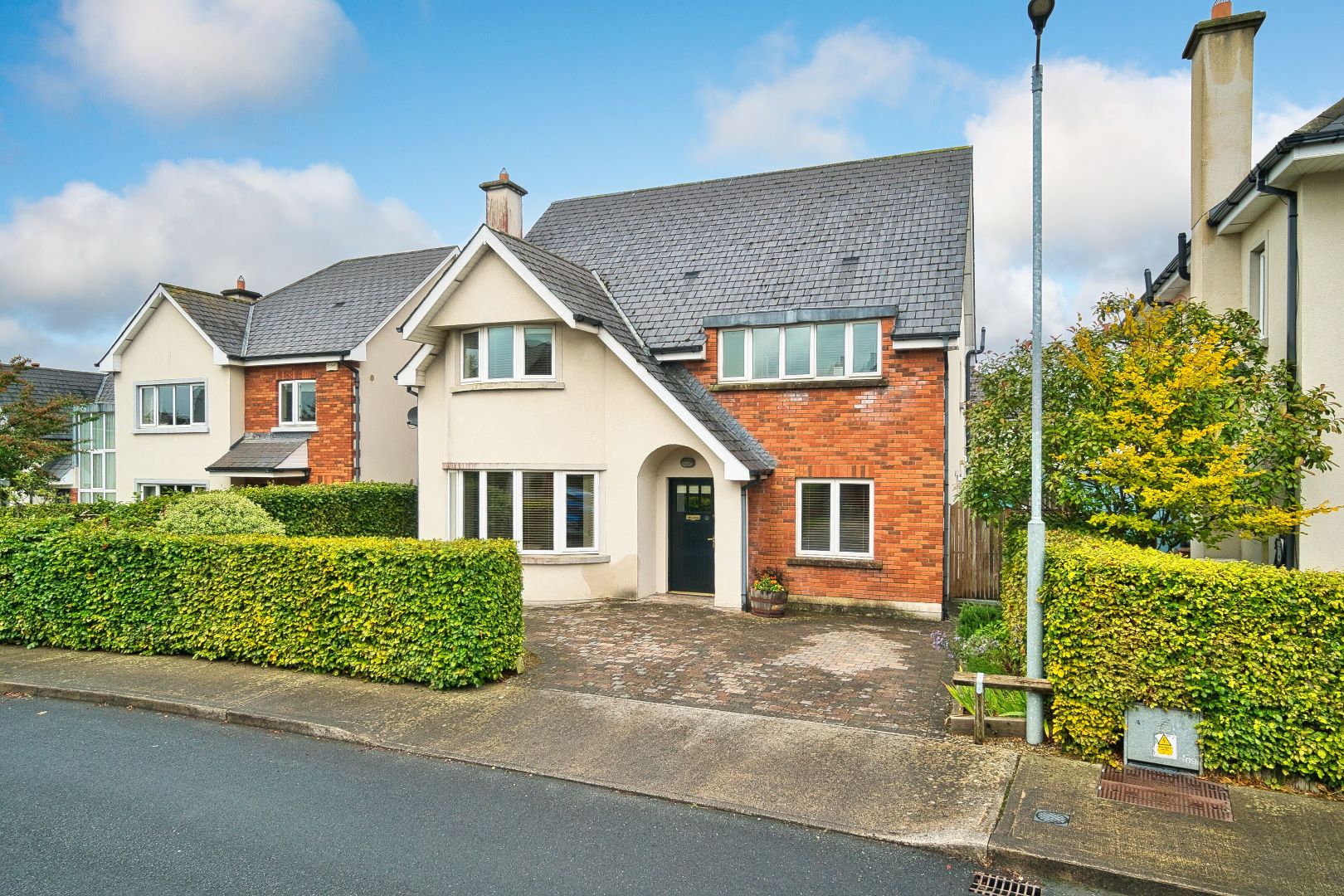 Stylish Detached Home in Exclusive Oldtown Demesne